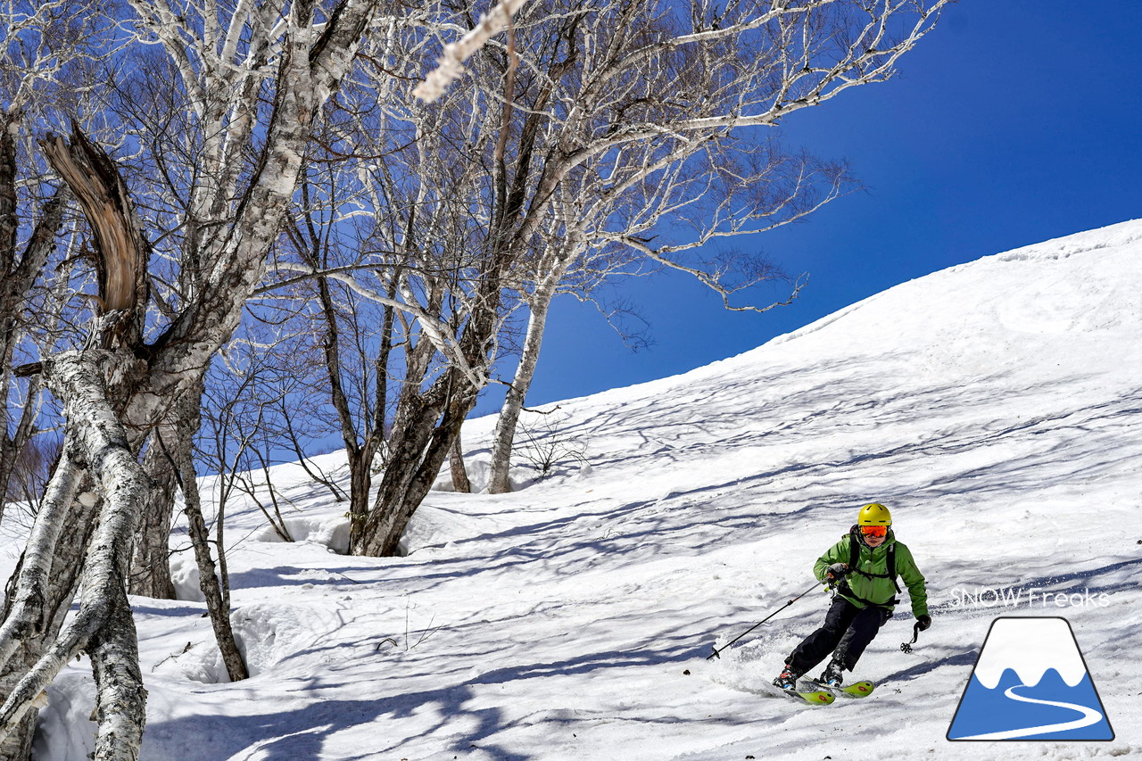 ニセコグラン・ヒラフ DYNASTAR SKI TEST RIDE DAYS Photo Session!!最高の天気に恵まれたニセコに、最高の仲間たちが集まりました☆